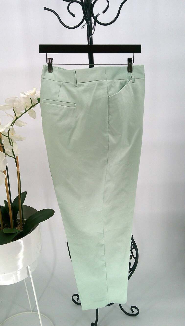 Liz Claiborne Womens Pastel Green Mid Rise Slim Leg Ankle Dress Pants Size 22W